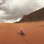 Channing Tatum Instagram - Well, It looks like I lost my daughter in the jundland wastes. This is the last pic i have of her. #tatooinebaby.
