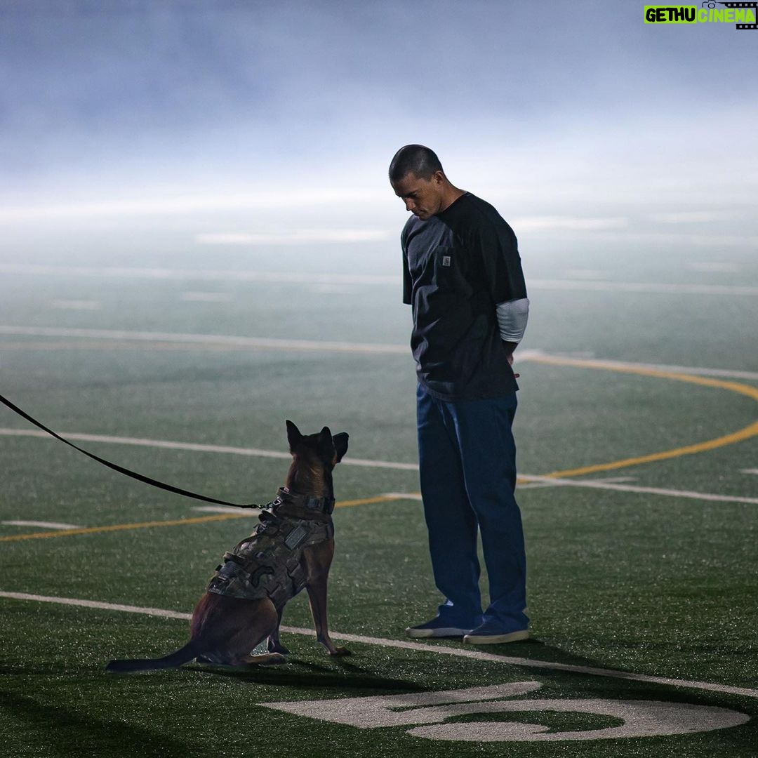 Channing Tatum Instagram - I got word that my @dogthefilm co-star Lulu needed a workout, so I thought I'd help her out. We played a little game of chase and you get to predict the outcome for a shot at a share of $10K. More importantly, @draftkings is making a $10K matching donation to Tech for Heroes, a program that provides veterans and military spouses free tech skills and training in cybersecurity and web development. #DraftKings - Eligibility restrictions apply. See draftkings.com/thedogfilm for details.