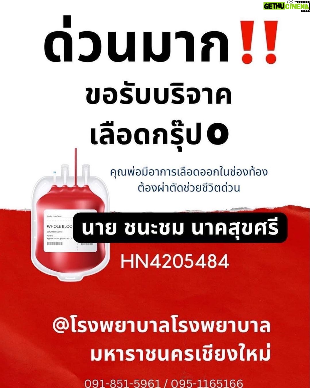 Chanon Ukkhachata Instagram - ฝากด้วยนะครับ ใครทีอยู่เชียงใหม่ 🙏🏻 Thailand