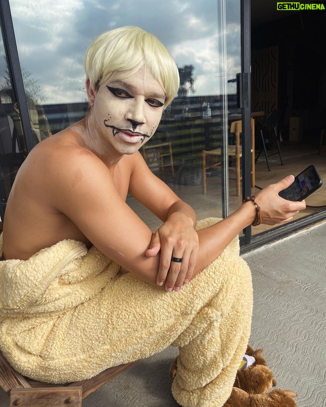 Chanse McCrary - 16.1K Likes - Meowth, That’s right!