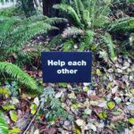 Chantal Thuy Instagram - @theearthsanctuary #whidbeyisland