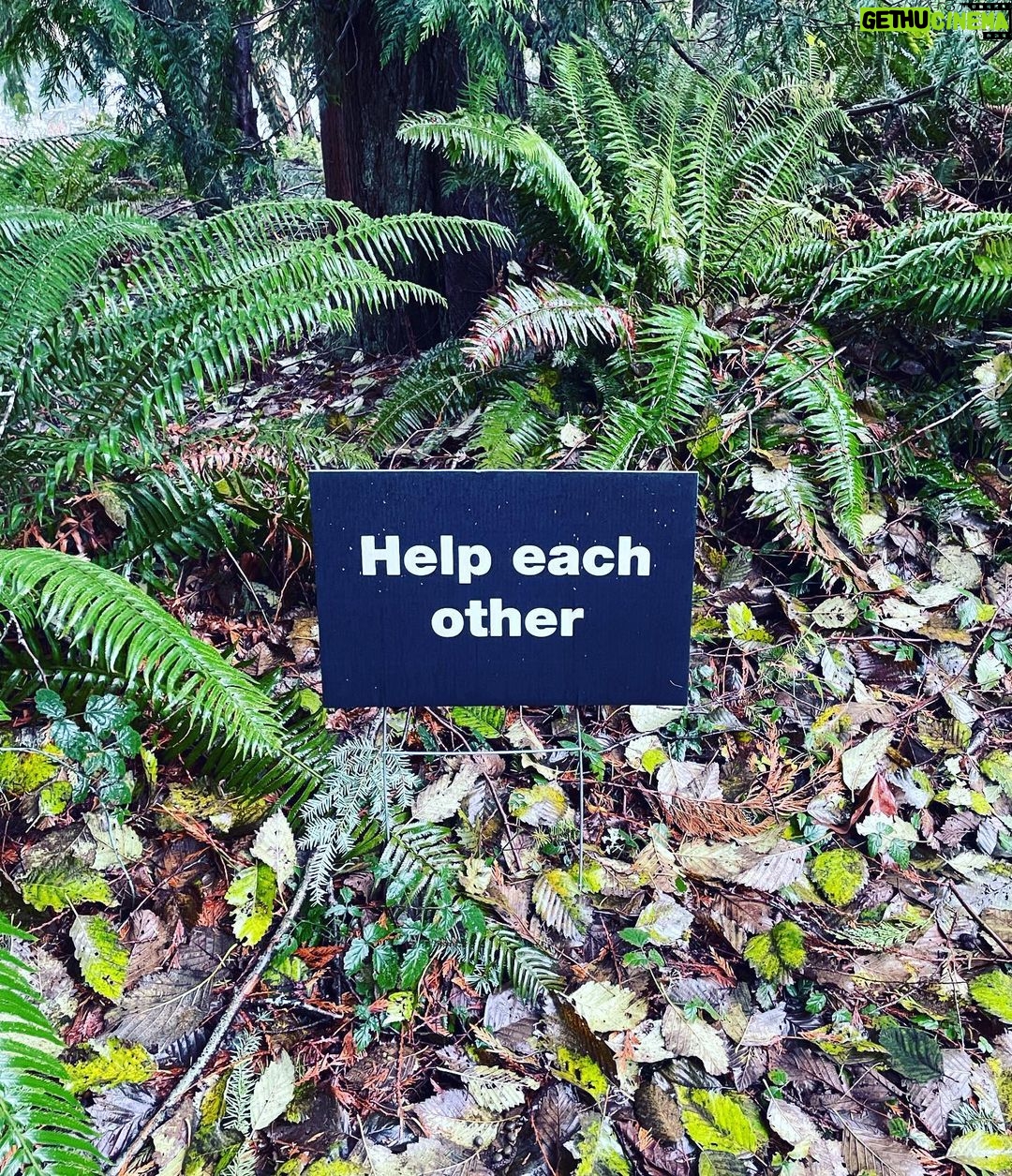 Chantal Thuy Instagram - @theearthsanctuary #whidbeyisland