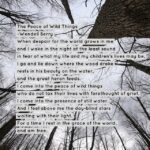 Chantal Thuy Instagram - The peace of wild things #wendellberry