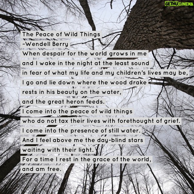 Chantal Thuy Instagram - The peace of wild things #wendellberry