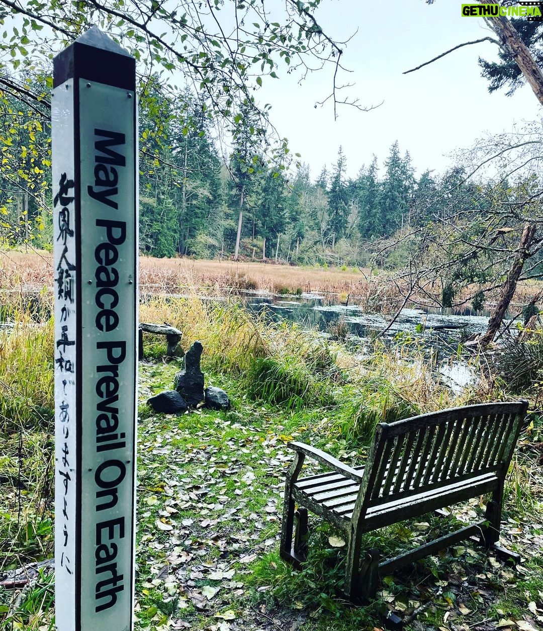 Chantal Thuy Instagram - @theearthsanctuary #whidbeyisland