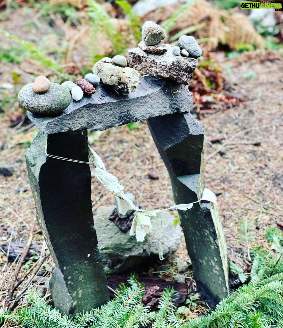 Chantal Thuy Instagram - @theearthsanctuary #whidbeyisland