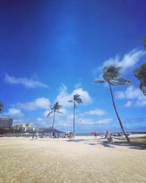 Chantal Thuy Instagram - #Hawaii dump