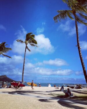 Chantal Thuy Instagram - #Hawaii dump