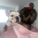 Chantelle Cameron Instagram - Happy Sunday 🐶 🐕 Hope everyone has a great week ahead Northampton, Northamptonshire