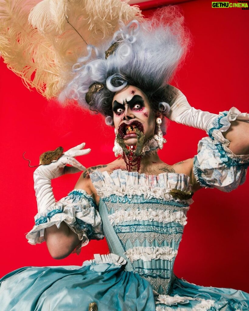 Charity Kase Instagram - Joining our Family of Freaks is Londons Queen of the monsters; Charity Kase !! She will be featured at selected venues starting in Newcastle THIS WEEK! Where there is only a handful of tickets left so BOOK NOW!! Charity is known for her wicked looks and enticing characters. She enchanted viewers on Rupaul’s Drag Race with her freakish flare, combining glamour with the grotesque, and has continued to shock, surprise and gag audiences on stages across the world. Be prepared for a beautiful bloodbath. Here are the dates : 27th Newcastle 10th Feb Nottingham 11th Feb Stevenage 16th Feb South Shields 5th March Aberdeen 6th March Dundee 8th March Blackpool 11th March Brewhouse 12th March Redruth 13th March Exeter 14th March Plymouth 15th March Wookey 18th March Clapham For full tour dates visit www.circusofhorrors.co.uk #circusofhorrors #drag #dragqueen #beautiful #monster #horroraddict #dragrace #dragraceuk