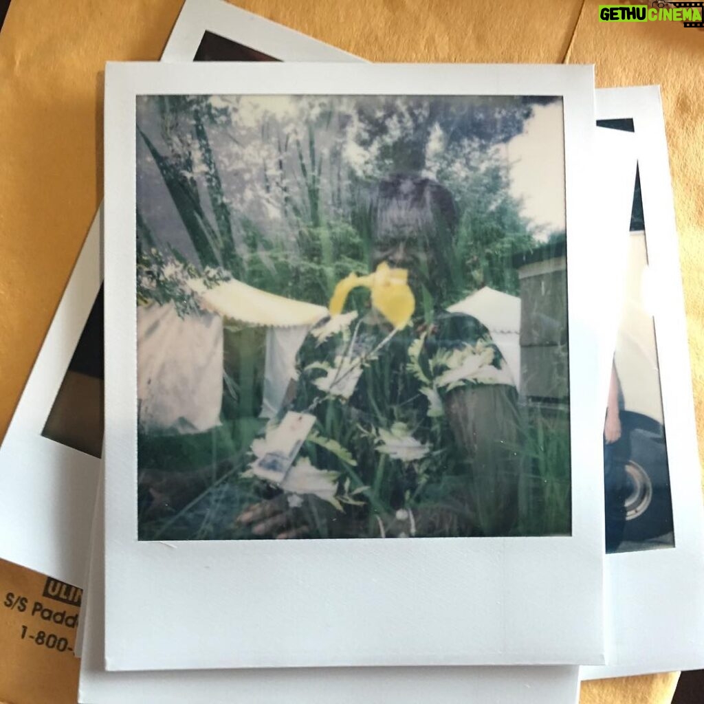 Charles Bradley Instagram - 🌻🌞🌻 @impossible_hq #doubleexposure #impossibleproject #i1