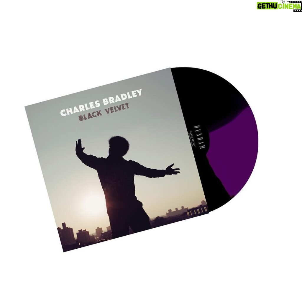 Charles Bradley Instagram - You can now pre-order Black Velvet in the @daptonerecords shop (link in bio). Deluxe box set includes: -Bonus 12" EP of 4 stripped-down mixes & a message from Charles. -Full color photo book, featuring extended liner notes by producer Tommy “TNT” Brenneck. -“Black Velvet” Slipmat. -Custom inner sleeves featuring a painting of Charles riding a horse through the sky! As well as the surreal story that inspired it, transcribed in Charles’ own words. -Charles’ original “Black Velvit” business card. -Seeded MP3 download card that can be planted to grow Wildflowers in Charles’ memory. Daptone Records