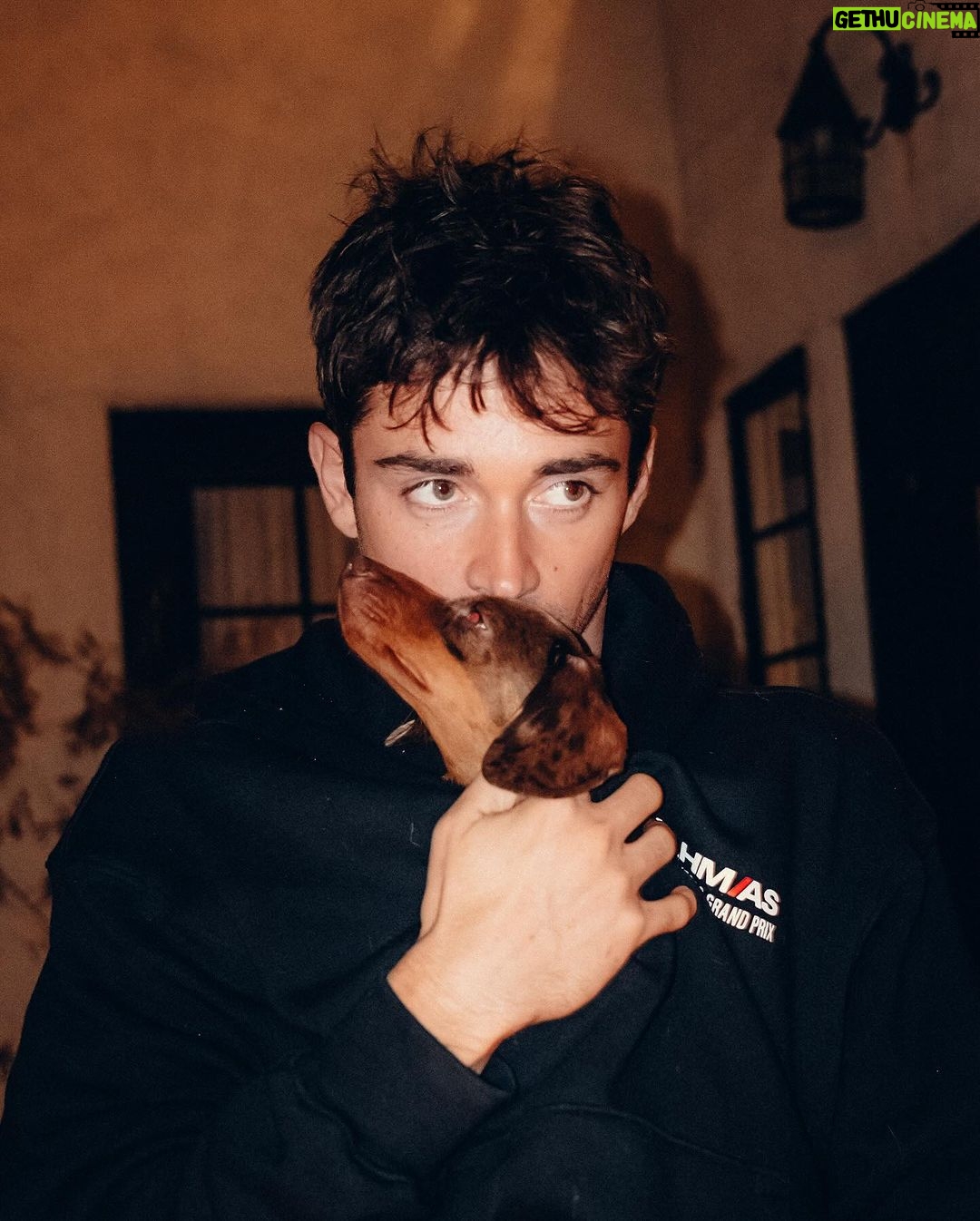 Charles Leclerc Instagram - Los Angeles 🤍 Loved every seconds of the past week. Time to get back on track soon 🏎️