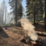 Charles Melton Instagram - 🌲 sequoia 🏕️