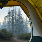 Charles Melton Instagram - 🌲 sequoia 🏕️