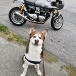 Charles Melton Instagram - we ride at dawn