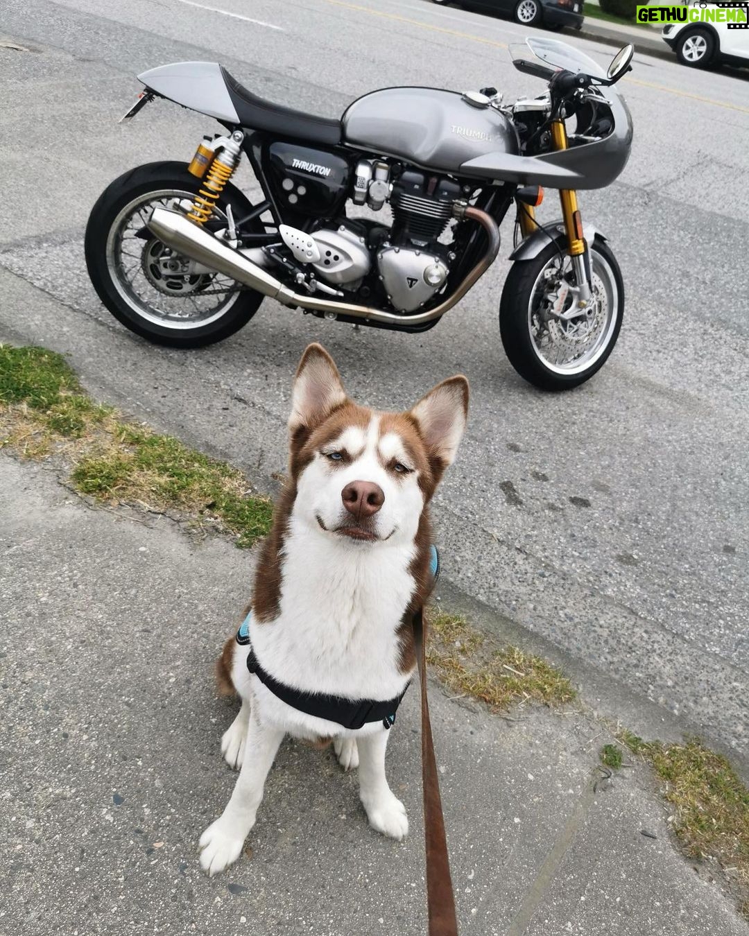 Charles Melton Instagram - we ride at dawn