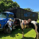 Charles Oliveira Instagram – Dia de boiadeiro na fazenda oliveira
@stud.oliveira