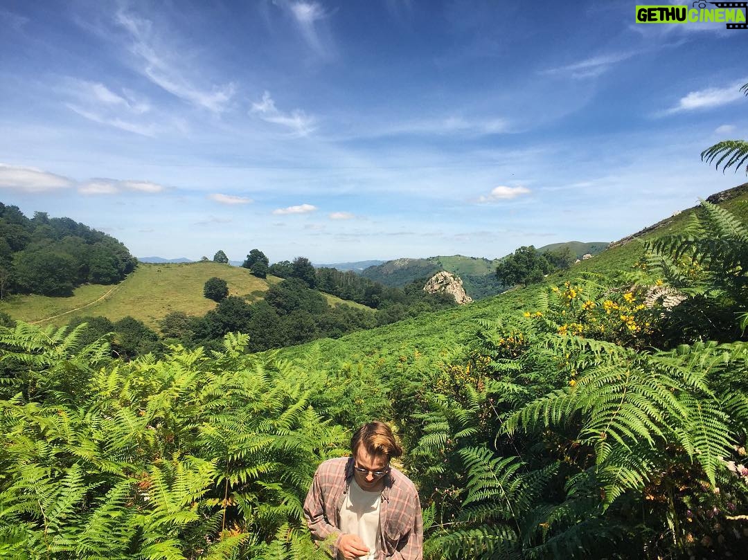 Charlie Heaton Instagram - 🐻🍃🍃🍃🐻 📷: @klittl