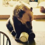 Charlie Heaton Instagram - Unbearleavable!