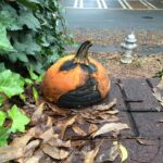 Charlie Heaton Instagram – Sad pumpkin, Halloween is over!
