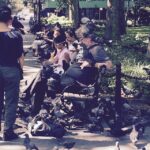 Charlie Heaton Instagram – #birdman #newyork