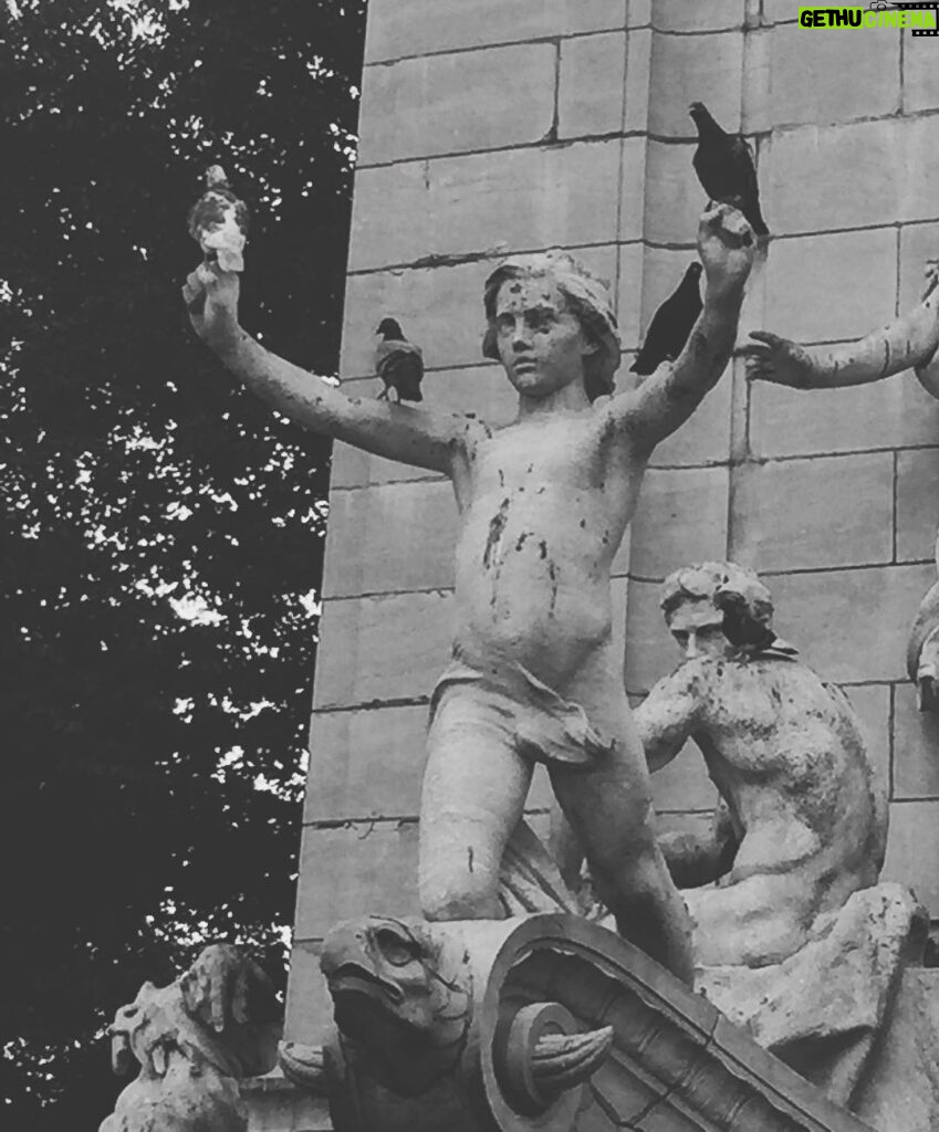 Charlie Heaton Instagram - The pigeon & the statue