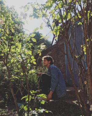 Charlie Heaton Instagram - 🍃🍃🍃