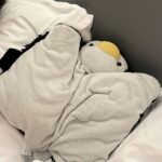 Charlie Puth Instagram - ‘Guin says HELP