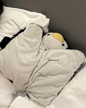 Charlie Puth Instagram - ‘Guin says HELP