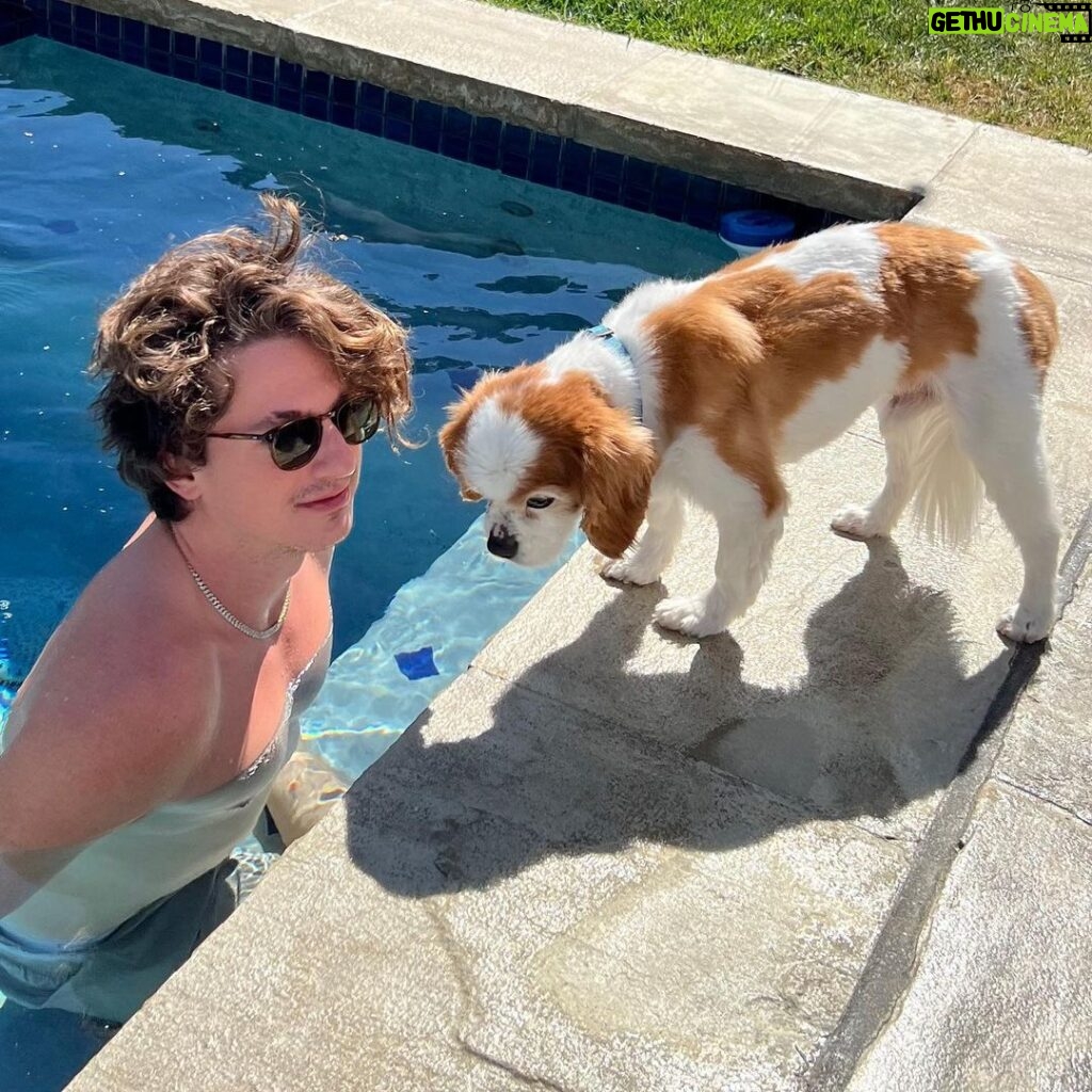 Charlie Puth Instagram - Brady the King Charles Cavalier moved on to puppy heaven last night after spending an amazing 15 years here on earth! And although he physically won’t be here anymore, his tiny spirit lingers on and I can’t wait to catch glimpses of that. I shall see you again someday tiny dog.