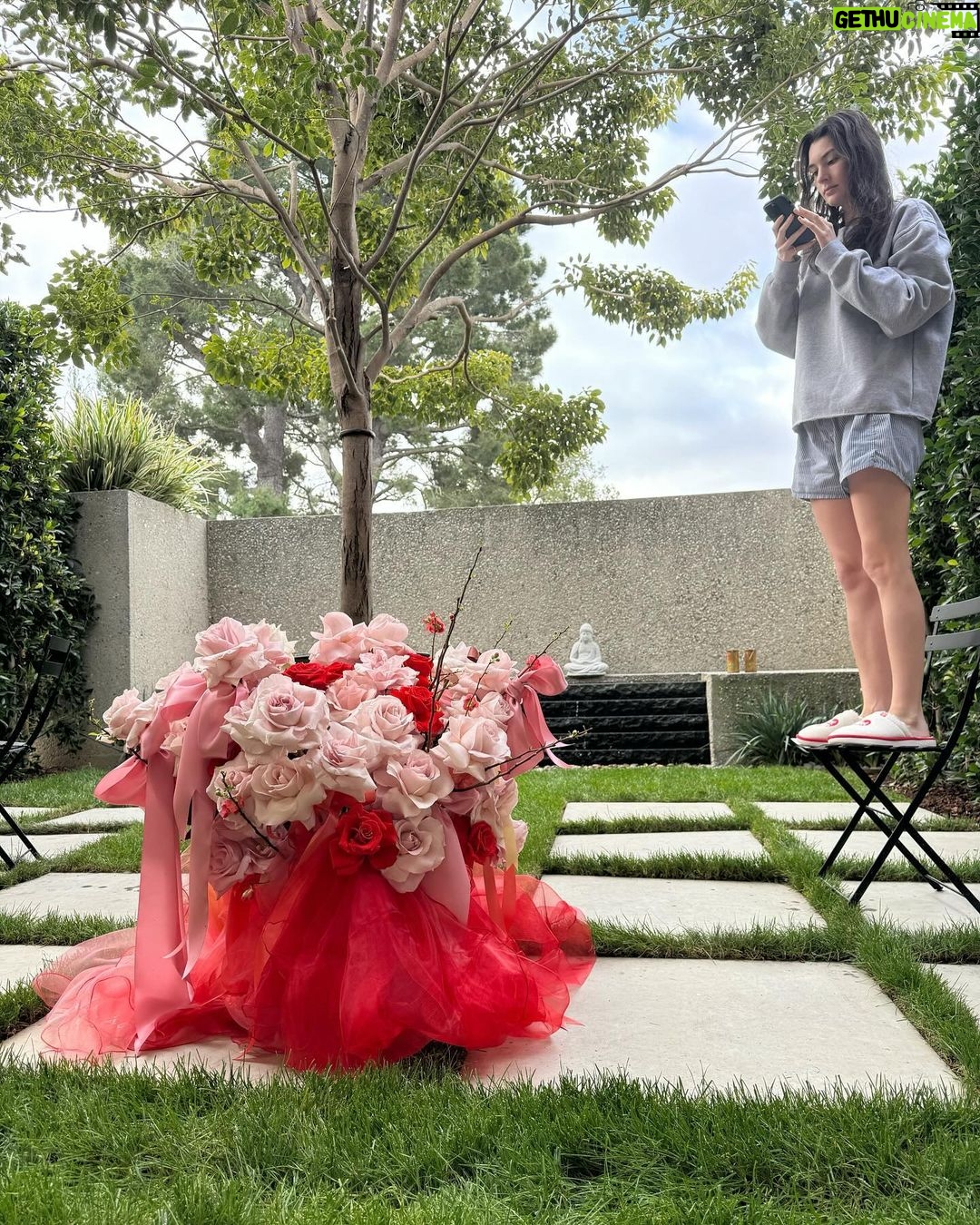 Charlie Puth Instagram - HAPPY VALENTINES DAY LITTLE LADY YOU DESERVE THE BIGGEST FLOWERS ALWAYS!!!!