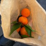 Charlize Lamb Instagram - 🎪in a loop🍊