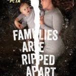 Charlotte Crosby Instagram - Alba’s first @PETAUK campaign 😍 She’s going to grow up knowing that orcas and other dolphins belong in the ocean, not in tiny tanks. 🐬💔 Please don’t ever visit a marine park that holds these beautiful animals captive for profit.