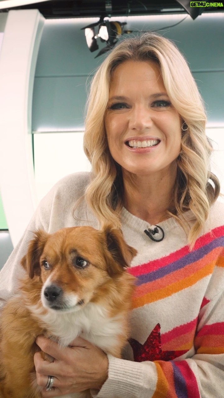 Charlotte Hawkins Instagram - Join @charlottehawkins1 for ‘Pet Classics’, our special programmes to calm pets during fireworks season with tips and advice from @rspca_official. We hope you, and all furry and feathered friends (like @freddiecheddar_ here 🐕) can join us on 4 and 5 November at 5pm.