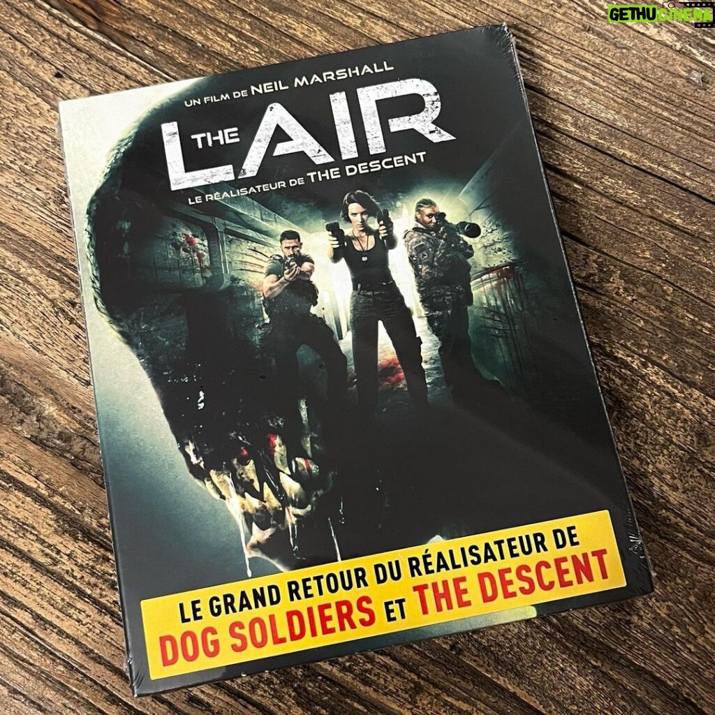 Charlotte Kirk Instagram - @the_lair_film on blue ray @the_lair_film on blue ray Super excited for @the_lair_film coming out in the UK on the 26 Jan on @shudder So happy that everyone is enjoying the film around the world 🌍. I believe Russia and India are absolutely loving it 🥰 Top 7 film in India 😅 and currently in many cinemas in Thailand. Super excited for @the_lair_film coming out in the UK on the 26th of Jan on @shudder . . . . . . . . . . . . . . . . . . . . . . . . #blueray #thelair #horrorfilm #sififilms #neilmarshall #neilmarshall_director #charlottekirk @charlottekirkofficial #charlottekirkofficial #jamiebamber #filmphotography #filmlover #filmisnotdead #dvd #dvdcollection #frenchlanguage #monstermovies #monsterfilm #horrorlover #actionfilm #actionmovies #filmproduction #shudder #rljefilms