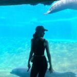 Charlotte Kirk Instagram – A few beautiful moments in Florida 🧚♀️👑🌟🎀🎈
.
.
.
.
.
.
.
.
.
.
.
#miami #miamibeach #miamiflorida #disney #disneyworld #style #travel #travelphotography #love #followforfollowback #instagood #fashion #charlottekirk #charlottekirkofficial #usa #usatravel #travelling #actress #actresslife Magic Kingdom