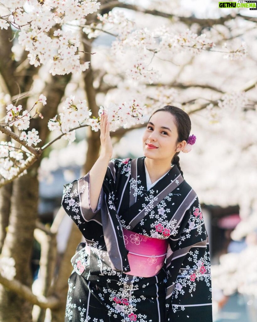 Chelsea Islan Instagram - When you wish upon a Sakura. Loveliest season of all. My favorite season since I was a child has always been the cherry blossom season. Sakura, Im in love! 🌸 Kyoto, Japan