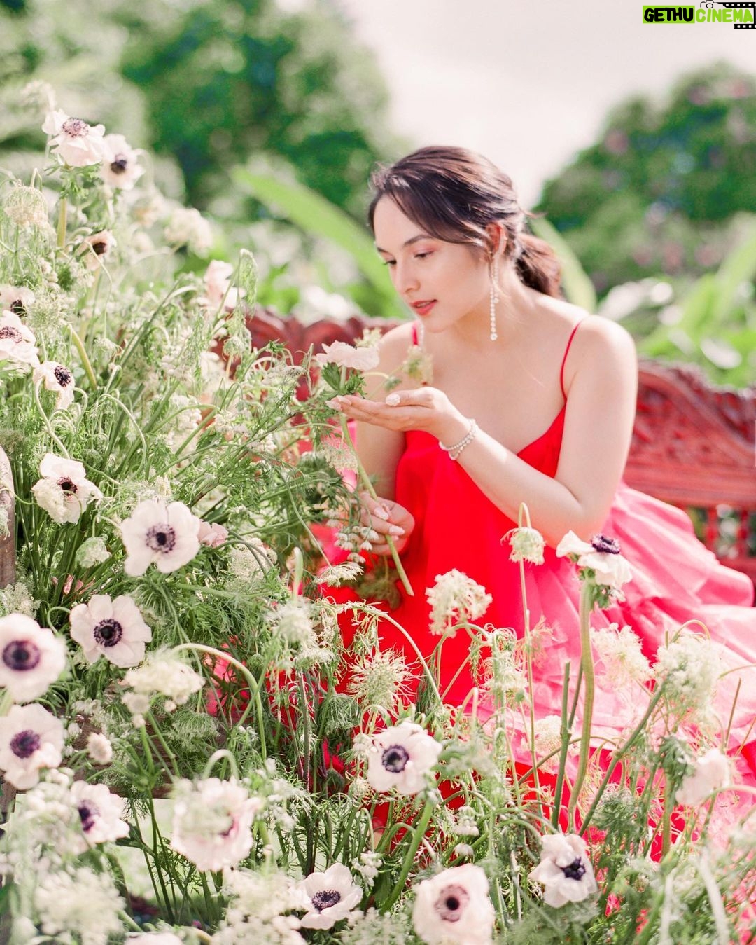 Chelsea Islan Instagram - It's the most wonderful time of the year! 💞