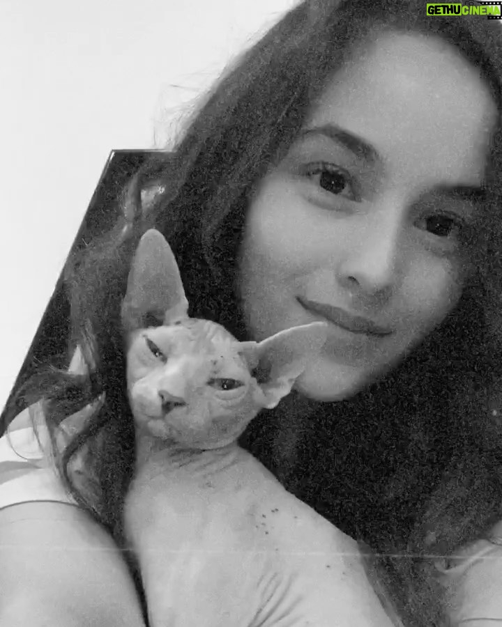 Chelsea Islan Instagram - I miss you @keirathesphynx 🐾