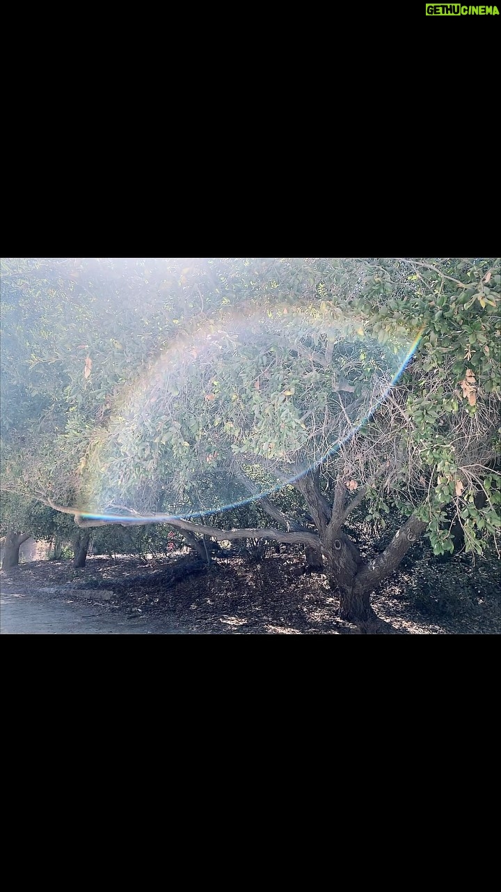 Cherie Jimenez Instagram - 9.7.22 One week ago today we spent the entire day doing all your favorite things ✨🐾 A Day surrounded by magic 🌈 filled with so much love ♥️ Gratitude for the gift of your sweet soul in this life 🐾 & the most heartbreakingly beautiful goodbye 💔 I love you forever