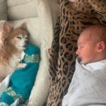 Cherie Jimenez Instagram – Simba 🦁 ➕ Phoenix ☀️🔥 𝓣𝓱𝒆  𝓤𝒏𝒊𝓿𝒆𝒓𝒔𝒆
