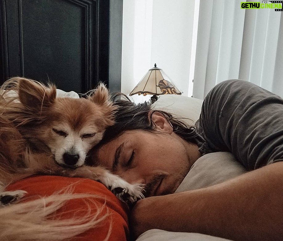 Cherie Jimenez Instagram - & thank you for always being the best Papa to our bobø Simba 🦁 His life became complete once you came into our lives. We love you Papa ✨ @i_am_seanfaris ❤️‍🔥 𝓣𝓱𝒆 𝓤𝒏𝒊𝓿𝒆𝒓𝒔𝒆