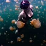 Chermarn Boonyasak Instagram - Swimming with 🪼for the first time 🥰 RajaAmpat