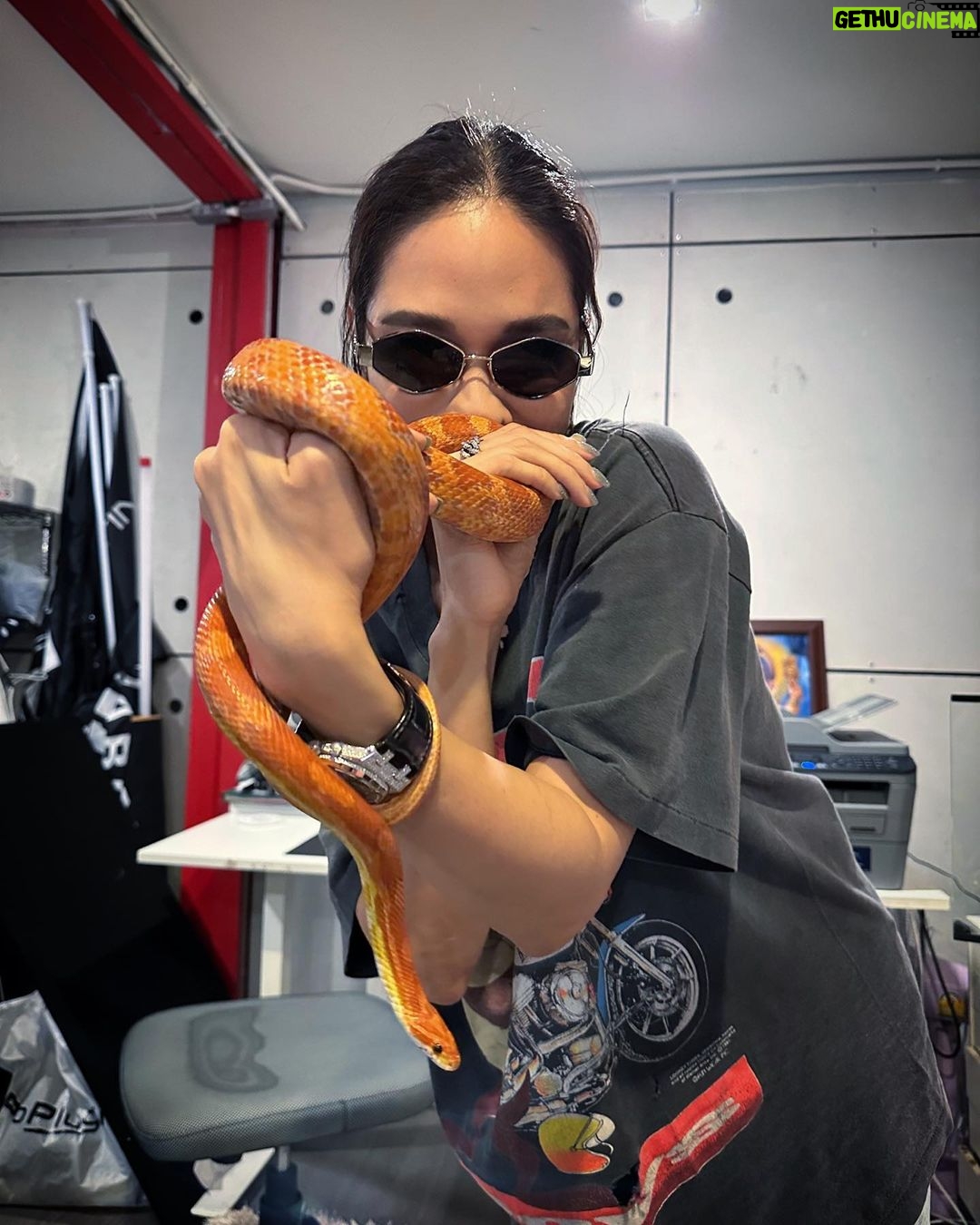 Chermarn Boonyasak Instagram - วันว่างๆ ว่างมาก ว้างงงง ว่างงงงง 😝 ไปเจอพี่สาวสุดที่รัก @kiddybo แล้วขโมยงูพี่ @daboyway @nanarybena มาเล่น เอาจริงๆน้องก็น่ารักดีนะเนี่ย 🍊🍊🍊🍊🍊🍊