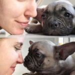 Chiara Ferragni Instagram – Tutto quello che volevo dirti te l’ho detto all’orecchio in questi giorni, ma tanto tu già sapevi tutto.
In questi tredici anni insieme sei stata la mia bambina ed allo stesso tempo la mia amica pronta a farmi sempre compagnia e a farmi sentire amata quando più ne avevo bisogno. Mi bastava abbracciarti e sentire il tuo profumo per sentirmi a casa perchè è proprio quello che sei stata sempre: la mia famiglia. E hai fatto anche di più, hai “creato” quella che è la nostra famiglia: eri tu “il cane di Chiara Ferragni” di quella canzone che mi ha fatto conoscere il papà nel 2016. Ci pensi se non fossi stata la mia Matildona come poteva essere diversa la mia vita? 
Quando ti ho scelta, ancora ragazzina, mai avrei pensato che avresti conosciuto i miei bambini, ed invece sei stata stupenda anche nel ruolo di “sorella maggiore”: hai regalato loro l’esperienza di amore incondizionato verso un animale che diventa famiglia. 
Ieri, dopo averti salutata per l’ultima volta ho provato a spiegare a Leo che eri andata in cielo e ci avresti sempre protetti da una nuvoletta lassù. E lui mi ha chiesto come potevamo riconoscere la nuvola perchè cosi potevamo salutarti sempre anche noi. 
Spero di averti fatto vivere una bella vita e di averti fatto sentire il mio amore ogni giorno, perchè io il tuo l’ho sentio sempre. Mi mancherà tutto di te Mati, ti saluterò ogni giorno su quella nuvoletta. 
Sarai per sempre la mia prima bimba 💖