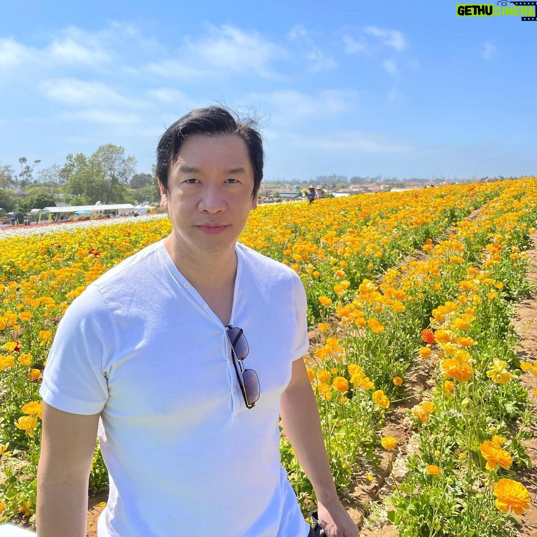 Chin Han Instagram - Spring is back #taketimetosmelltheroses #taketimetosmellthecoffee just #taketime