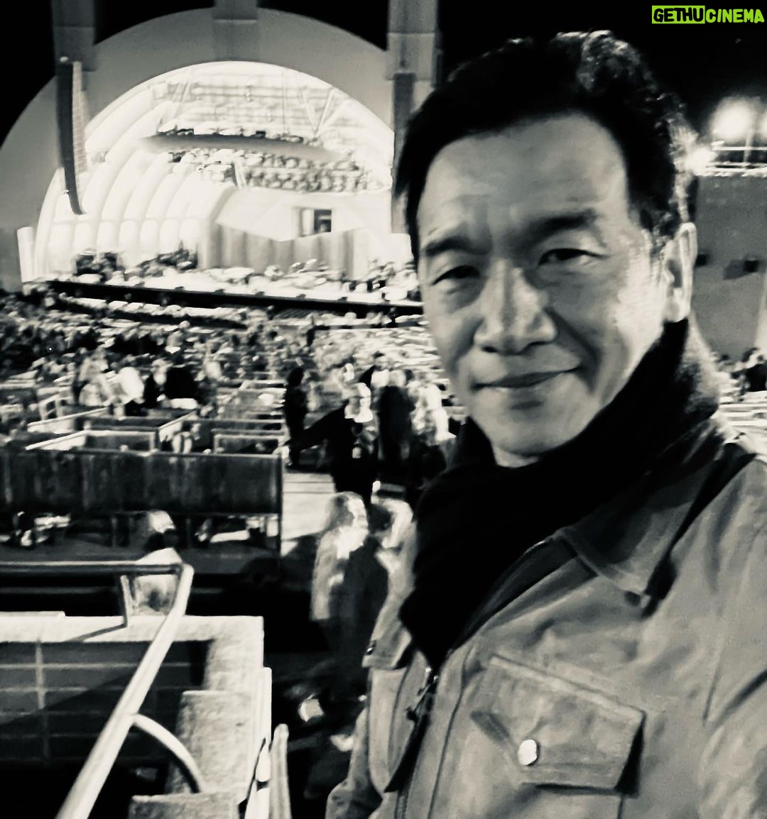 Chin Han Instagram - Music for the midweek hump #universallanguage #wednesdayvibes