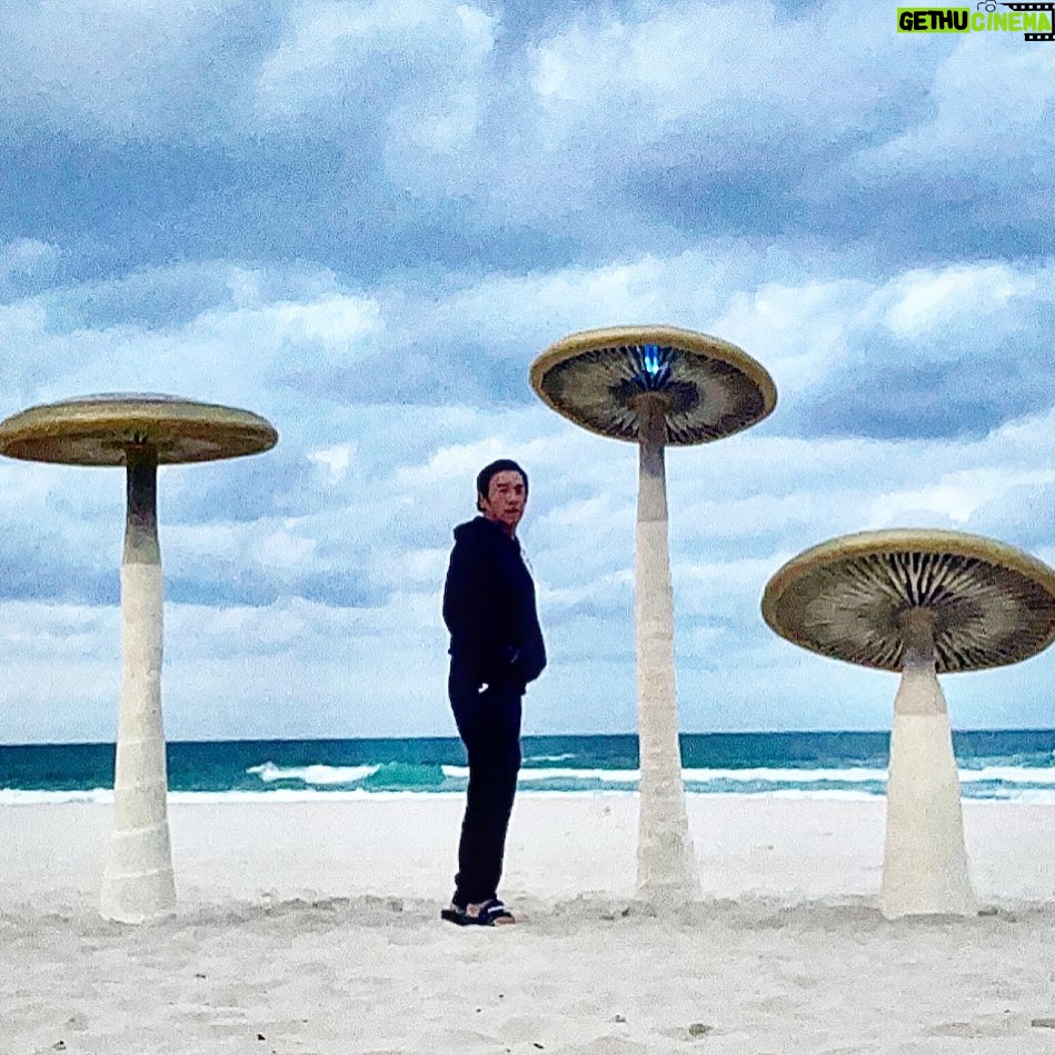 Chin Han Instagram - Shroomer or later #funweekend #whosafungi #swellsculpturefestival