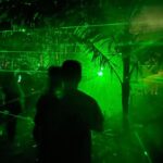 Chin Han Instagram - Green light, ready, fight #mk1 #lightscape #brisbanefestival #greengreengrassofhome Brisbane Botanic Garden
